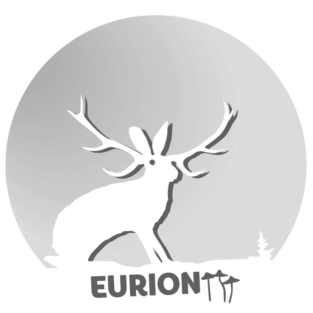 Tento obrázek nemá vyplněný atribut alt; název souboru je Eurion-logo-male-cb-1024x1024.jpg.